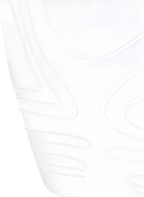 Biustonosz przeciwobrzękowy Lymph Flow