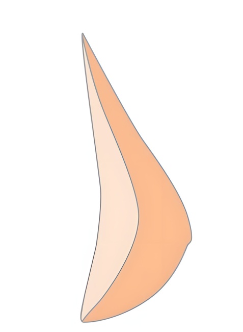 Proteza stała Amoena Natura